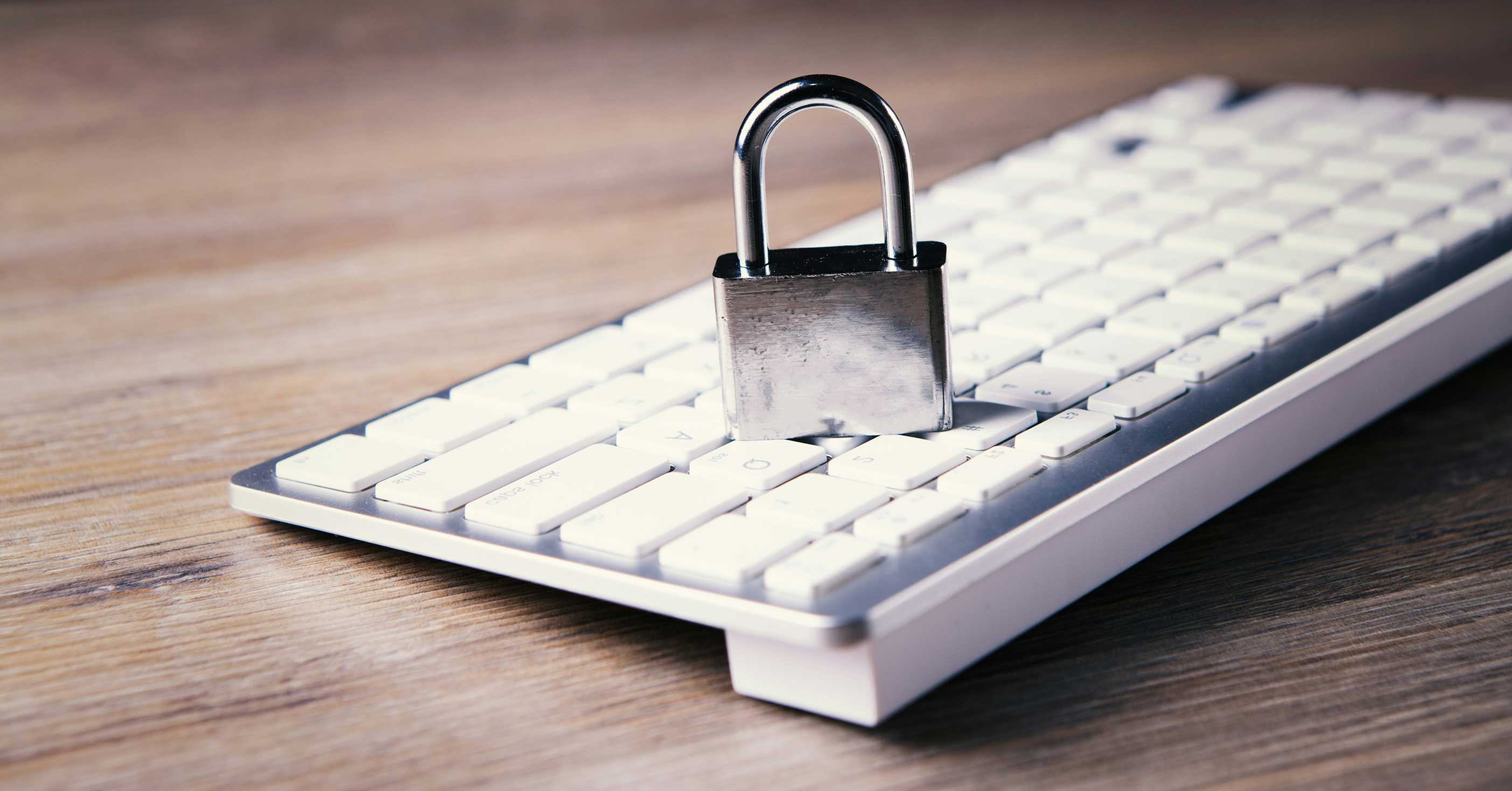 Digital Privacy and Data Protection